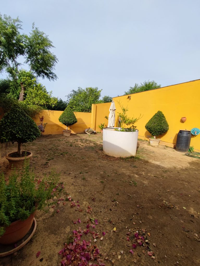 Zona ZEN 2
